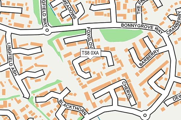 TS8 0XA map - OS OpenMap – Local (Ordnance Survey)