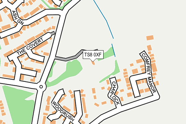 TS8 0XF map - OS OpenMap – Local (Ordnance Survey)