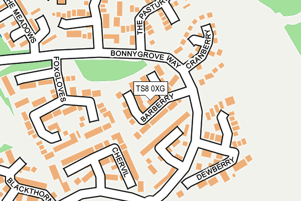 TS8 0XG map - OS OpenMap – Local (Ordnance Survey)