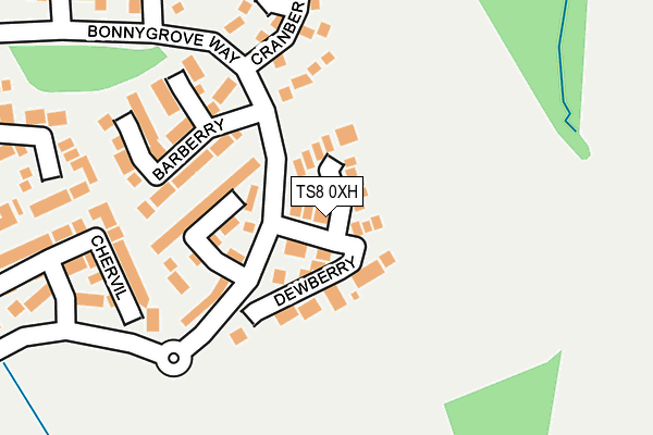 TS8 0XH map - OS OpenMap – Local (Ordnance Survey)