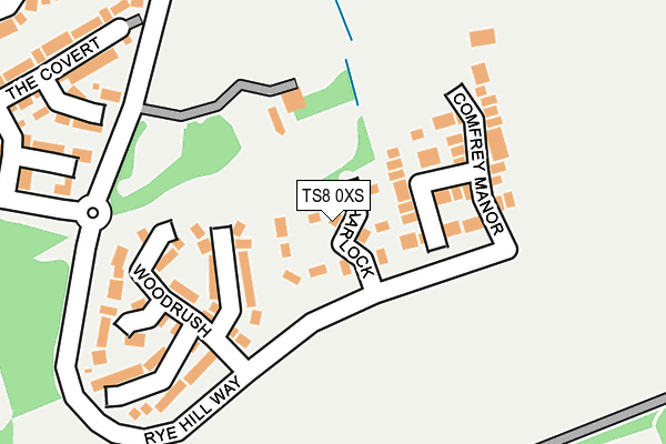 TS8 0XS map - OS OpenMap – Local (Ordnance Survey)