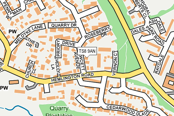 TS8 9AN map - OS OpenMap – Local (Ordnance Survey)