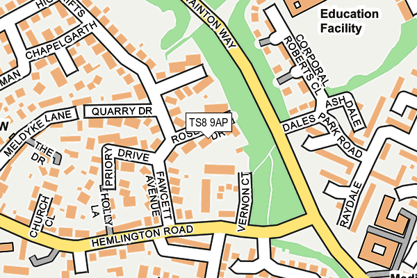 TS8 9AP map - OS OpenMap – Local (Ordnance Survey)