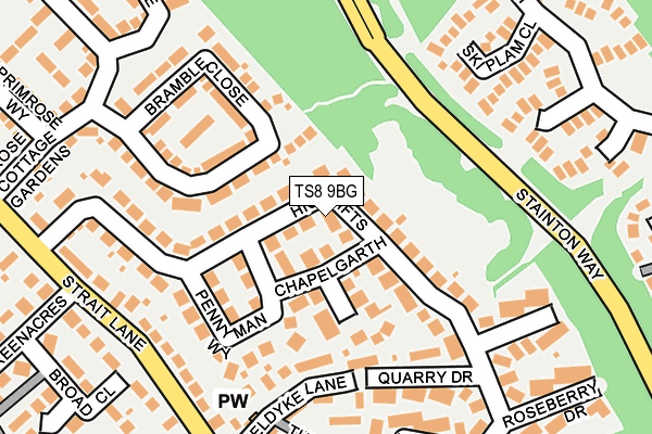 TS8 9BG map - OS OpenMap – Local (Ordnance Survey)