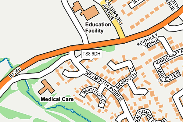 TS8 9DH map - OS OpenMap – Local (Ordnance Survey)