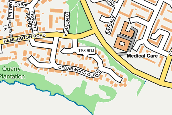 TS8 9DJ map - OS OpenMap – Local (Ordnance Survey)