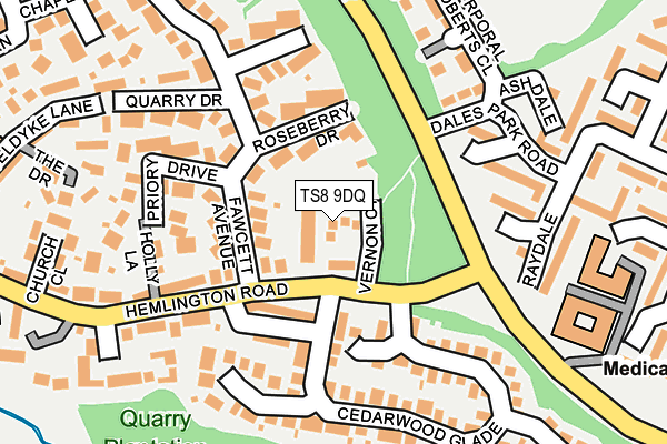 TS8 9DQ map - OS OpenMap – Local (Ordnance Survey)