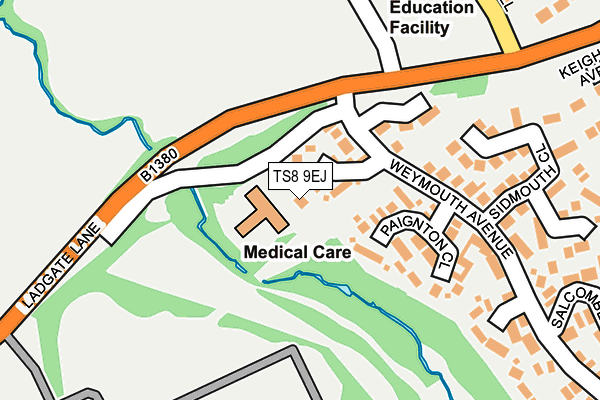 TS8 9EJ map - OS OpenMap – Local (Ordnance Survey)