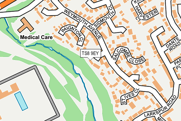 TS8 9EY map - OS OpenMap – Local (Ordnance Survey)