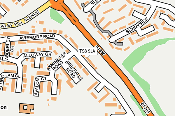 TS8 9JA map - OS OpenMap – Local (Ordnance Survey)