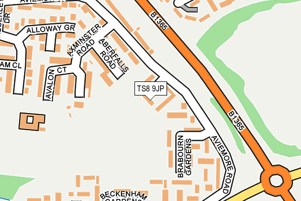 TS8 9JP map - OS OpenMap – Local (Ordnance Survey)