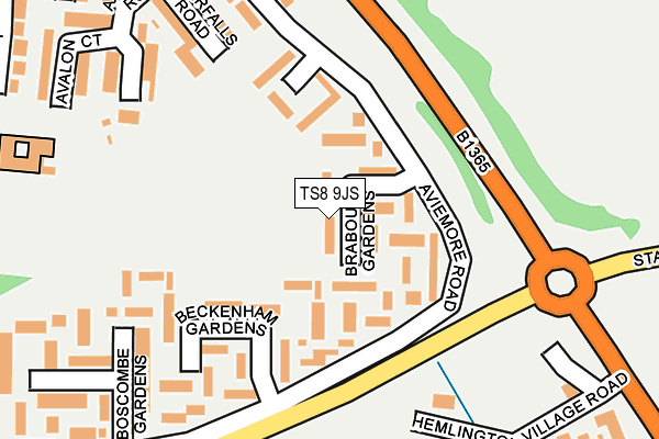 TS8 9JS map - OS OpenMap – Local (Ordnance Survey)