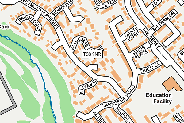 TS8 9NR map - OS OpenMap – Local (Ordnance Survey)