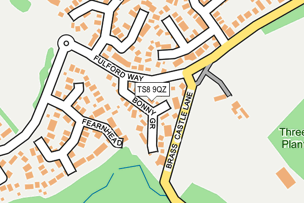 TS8 9QZ map - OS OpenMap – Local (Ordnance Survey)