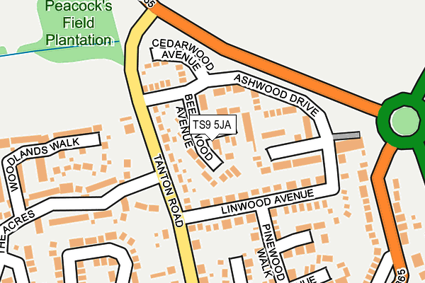 TS9 5JA map - OS OpenMap – Local (Ordnance Survey)