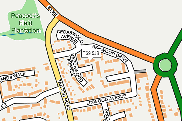 TS9 5JB map - OS OpenMap – Local (Ordnance Survey)