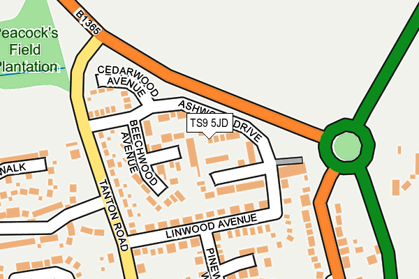 TS9 5JD map - OS OpenMap – Local (Ordnance Survey)