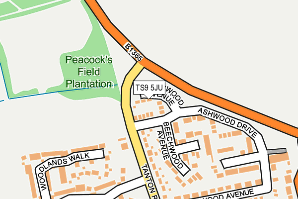 TS9 5JU map - OS OpenMap – Local (Ordnance Survey)