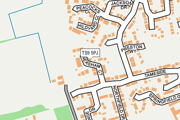 TS9 5PJ map - OS OpenMap – Local (Ordnance Survey)