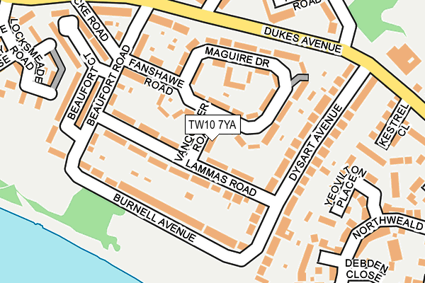 TW10 7YA map - OS OpenMap – Local (Ordnance Survey)