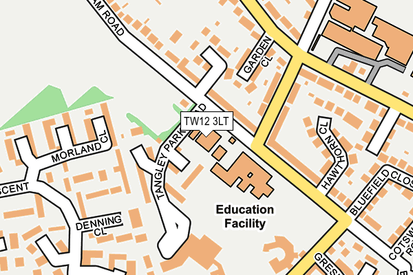 TW12 3LT map - OS OpenMap – Local (Ordnance Survey)
