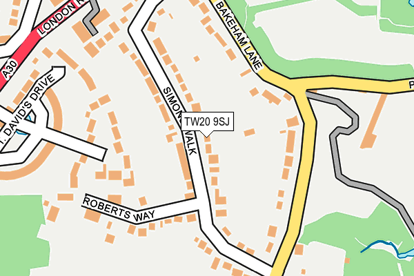 TW20 9SJ map - OS OpenMap – Local (Ordnance Survey)