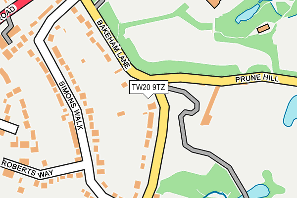 TW20 9TZ map - OS OpenMap – Local (Ordnance Survey)