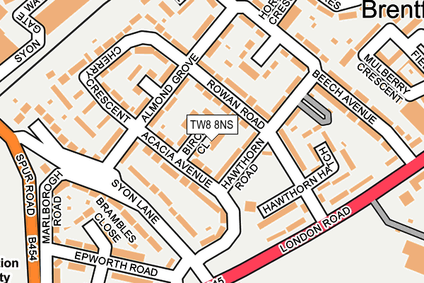 TW8 8NS map - OS OpenMap – Local (Ordnance Survey)