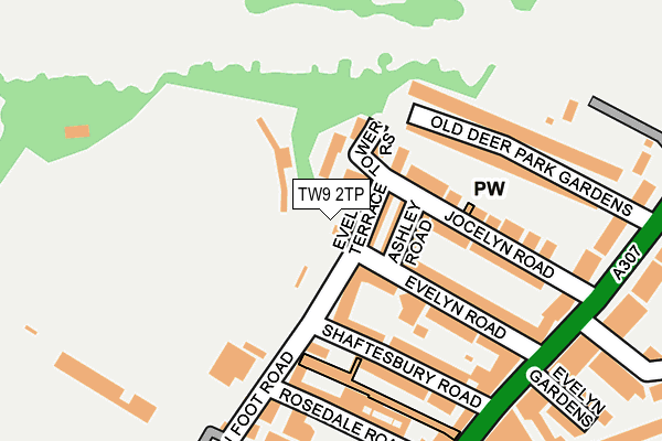 TW9 2TP map - OS OpenMap – Local (Ordnance Survey)