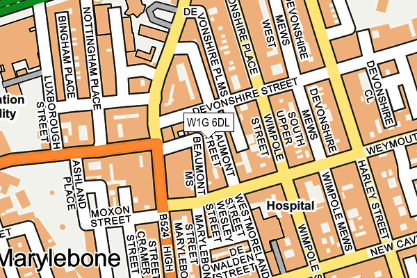 W1G 6DL map - OS OpenMap – Local (Ordnance Survey)