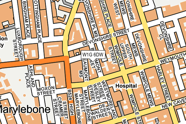 W1G 6DW map - OS OpenMap – Local (Ordnance Survey)