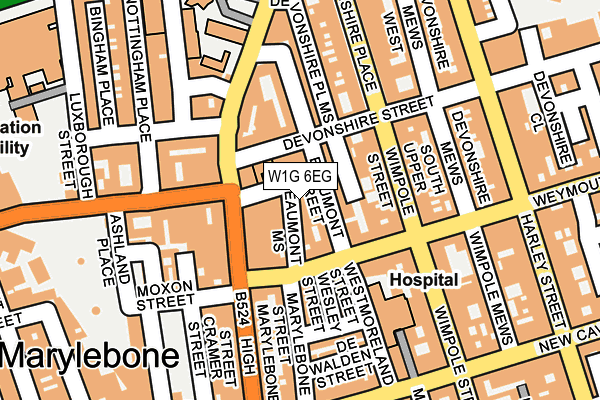 W1G 6EG map - OS OpenMap – Local (Ordnance Survey)