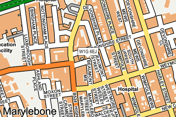 W1G 6EJ map - OS OpenMap – Local (Ordnance Survey)