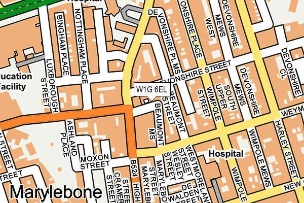 W1G 6EL map - OS OpenMap – Local (Ordnance Survey)
