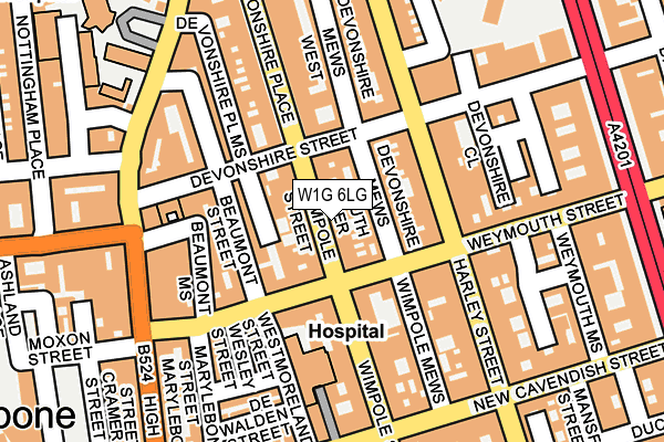 W1G 6LG map - OS OpenMap – Local (Ordnance Survey)