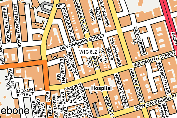 W1G 6LZ map - OS OpenMap – Local (Ordnance Survey)