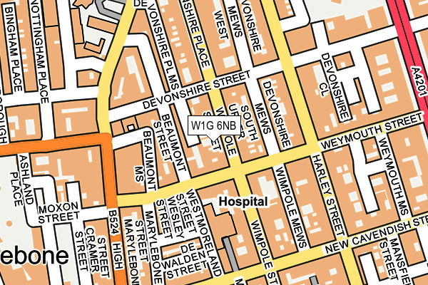 W1G 6NB map - OS OpenMap – Local (Ordnance Survey)