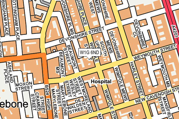 W1G 6ND map - OS OpenMap – Local (Ordnance Survey)