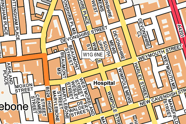W1G 6NE map - OS OpenMap – Local (Ordnance Survey)