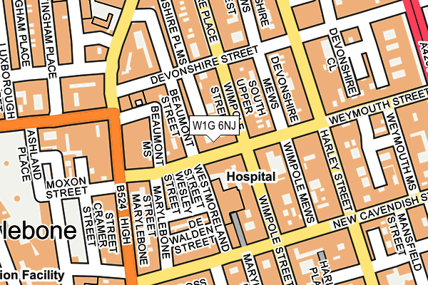 W1G 6NJ map - OS OpenMap – Local (Ordnance Survey)