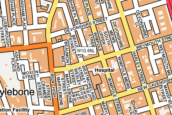 W1G 6NL map - OS OpenMap – Local (Ordnance Survey)