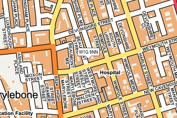 W1G 6NN map - OS OpenMap – Local (Ordnance Survey)