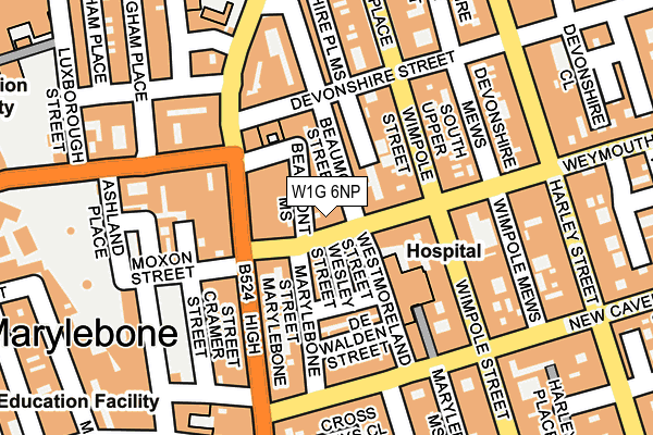 W1G 6NP map - OS OpenMap – Local (Ordnance Survey)