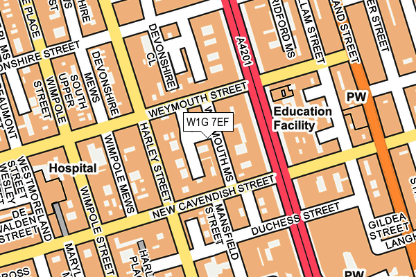 W1G 7EF map - OS OpenMap – Local (Ordnance Survey)