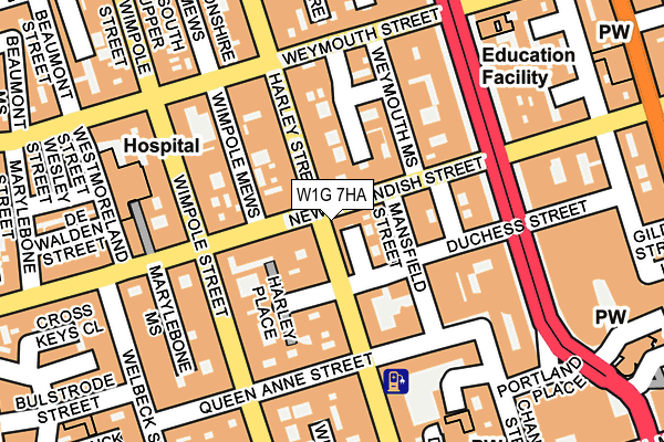 W1G 7HA map - OS OpenMap – Local (Ordnance Survey)