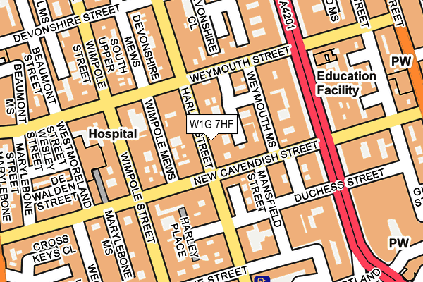 W1G 7HF map - OS OpenMap – Local (Ordnance Survey)