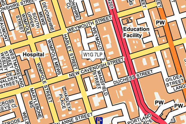 W1G 7LP map - OS OpenMap – Local (Ordnance Survey)
