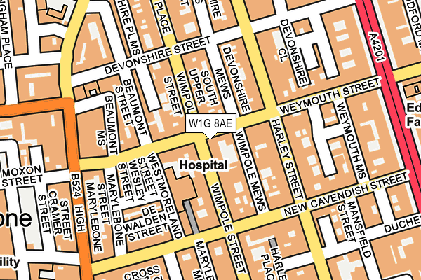 W1G 8AE map - OS OpenMap – Local (Ordnance Survey)