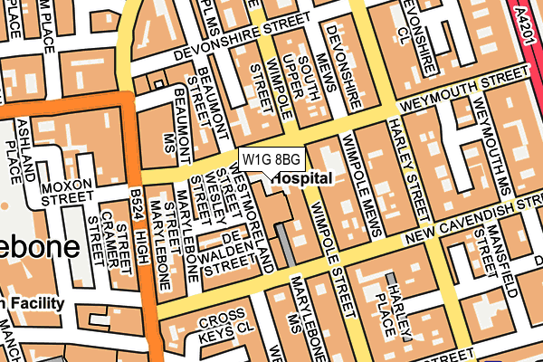 W1G 8BG map - OS OpenMap – Local (Ordnance Survey)