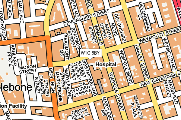 W1G 8BY map - OS OpenMap – Local (Ordnance Survey)